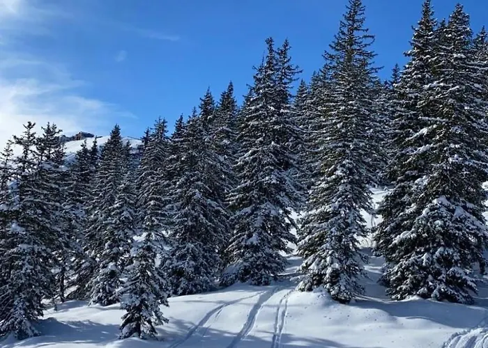 Alpinresort 1 By Interhome *