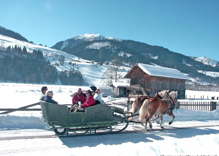 Appartement Alpinresort 1 By Interhome Kaprun